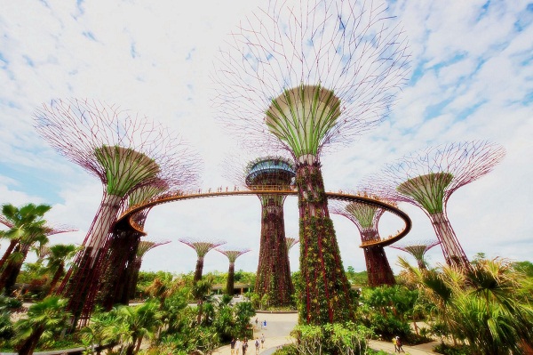 Du lịch Singapore tự túc 6